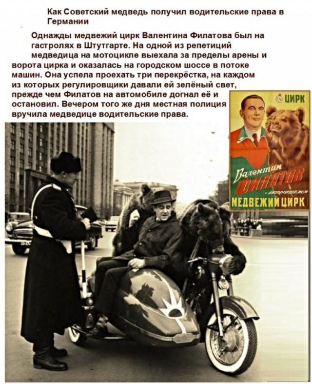 Чуток картинок 29.05.20