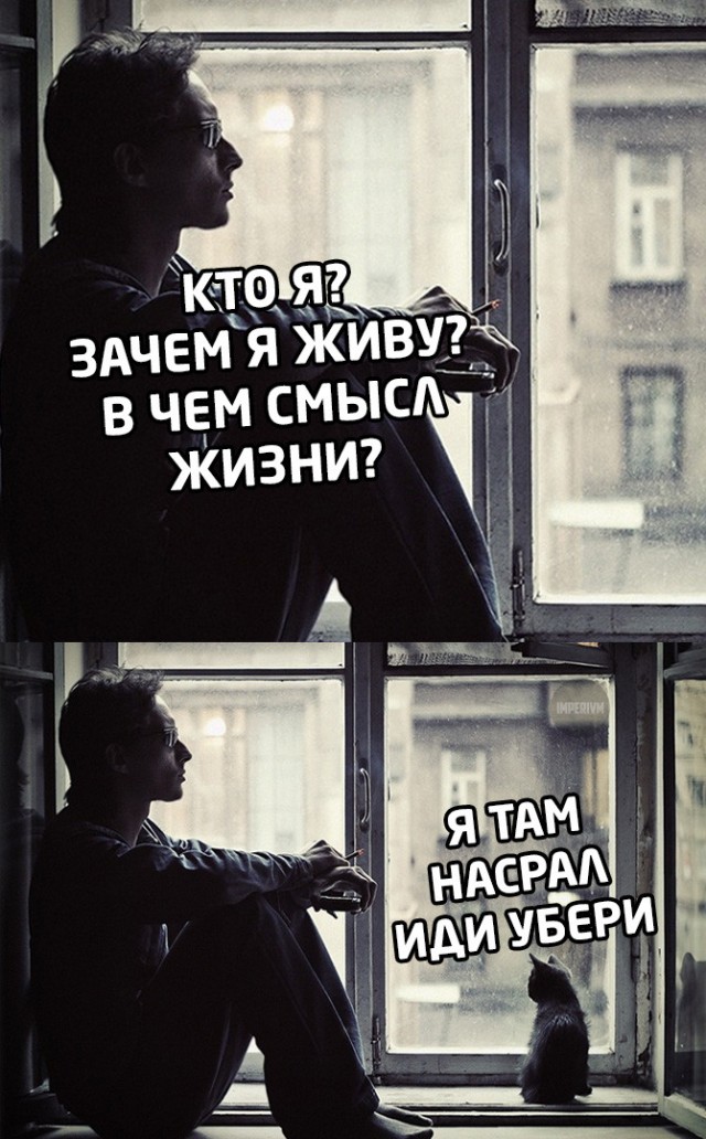 К тяжелому понедельнику. Немного слегка пошлых картинок с надписями 16+ (20.07.2020)