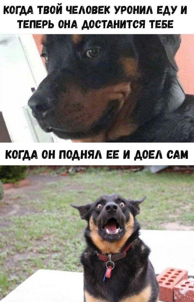Веселые истории о нас 157