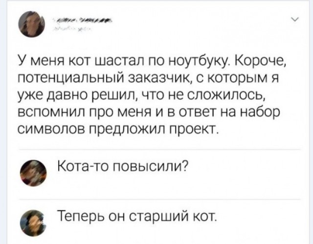 Картинки и мемы для настроения 008