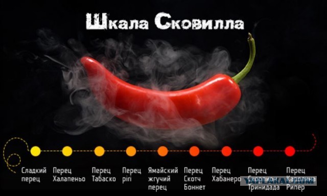 Настоящие мужчины закусывают только этим