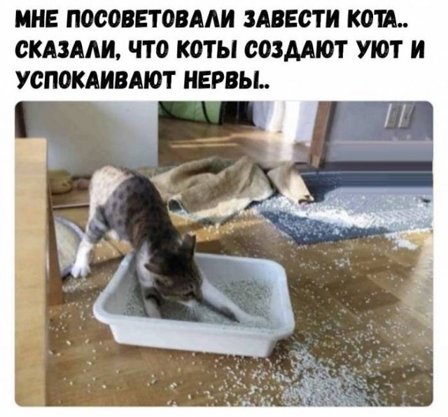 Картинки на вчера
