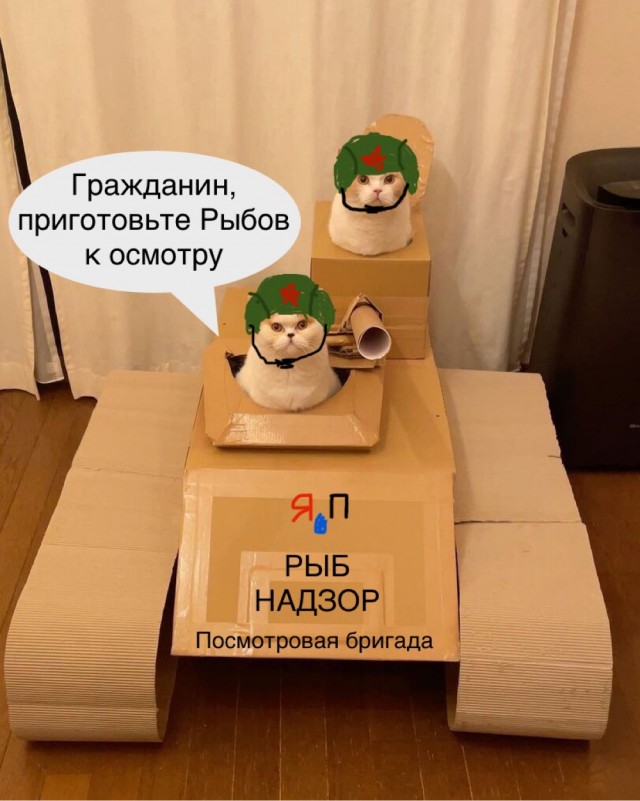 Рыбов давай!