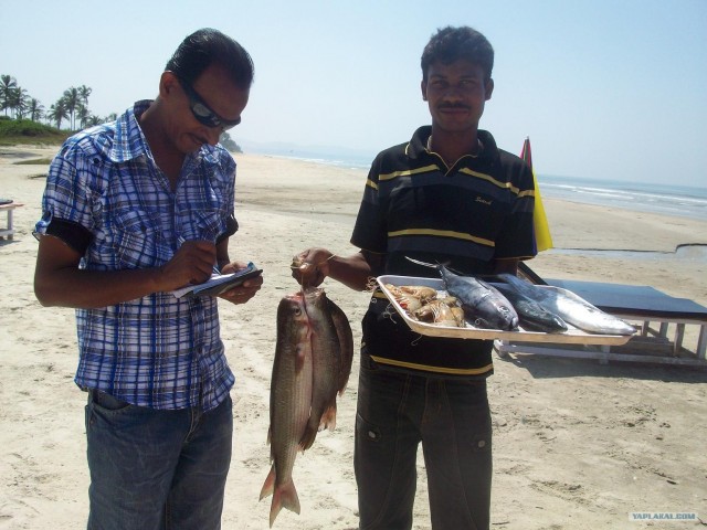 Путешествие по Индии