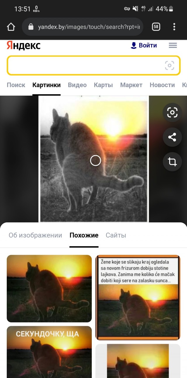 My cat Semyon