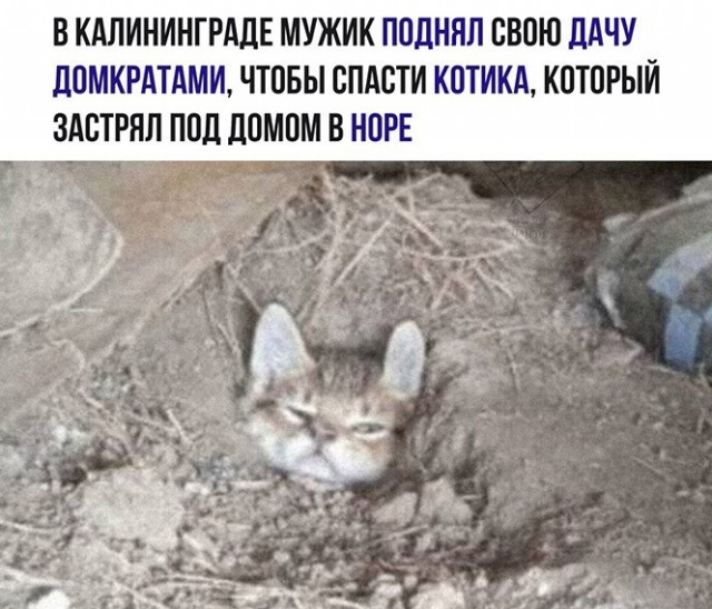 Баянисто-небаянистый юмор 12.04.22