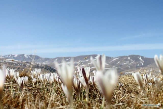 Рыбалка в горах. Плато Ассы.