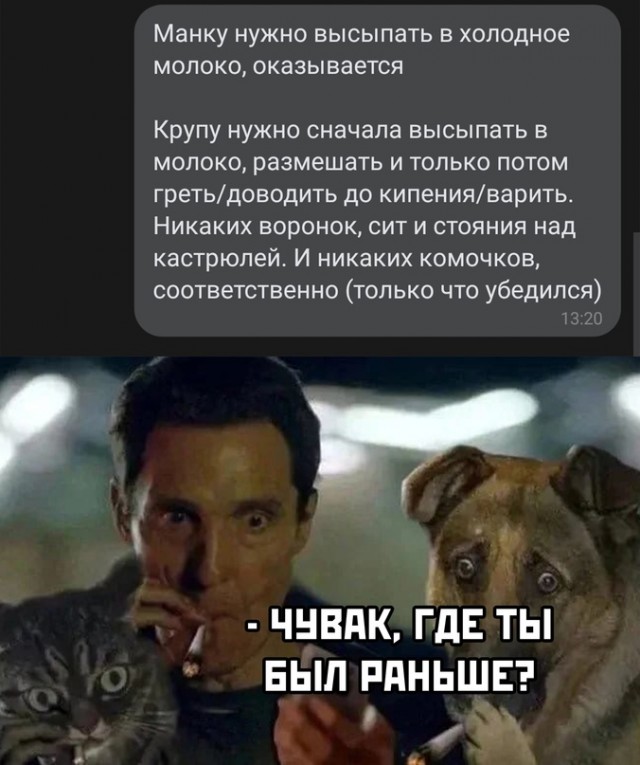 Весёлый полтишок 08.07.22
