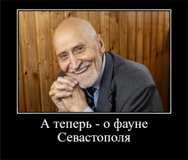 Минусы работы охранником — вам могут дать по лицу. Плюсы работы охранником — вам могут дать на барной стойке
