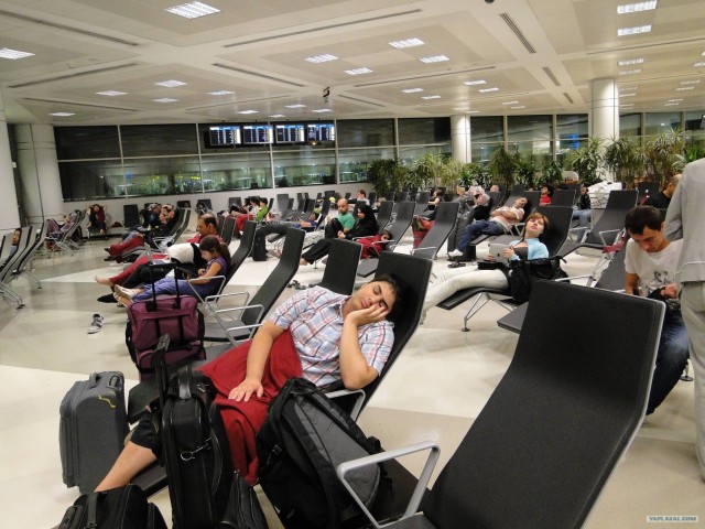 Кения (Масаи-Мара), Танзания (Занзибар)