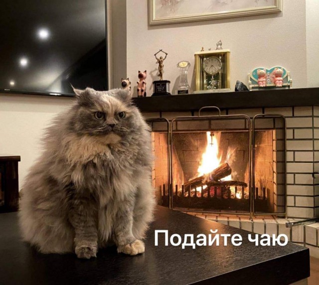 Картинки и мемы, всем хороших выходных