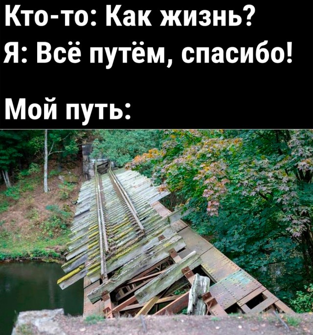 Так себе картинки 17.01.23