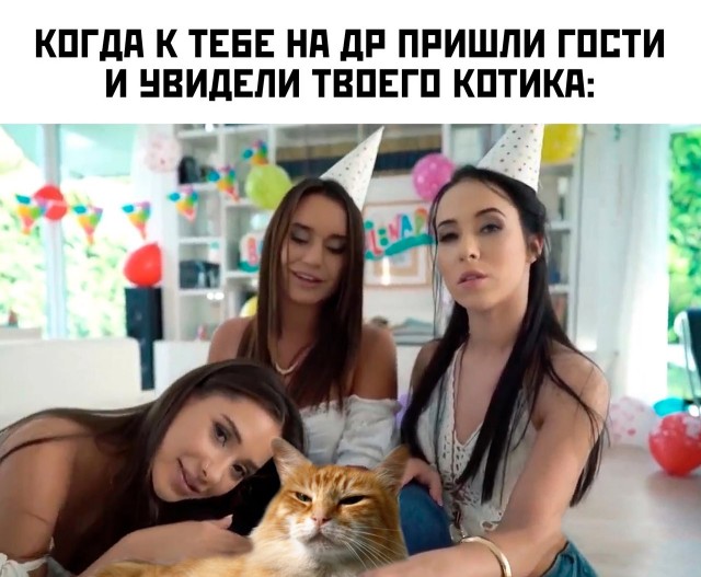 Так себе картинки 25.01.2023