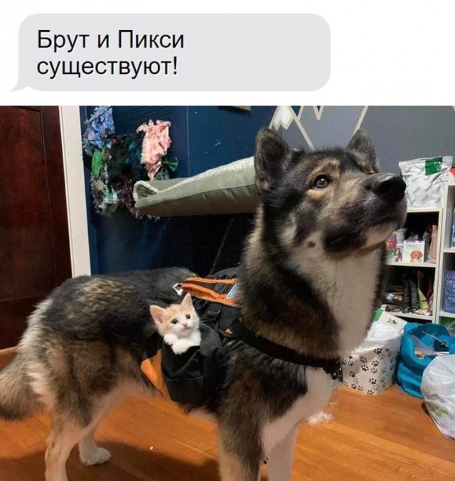 Немного картинок для настроения - 139
