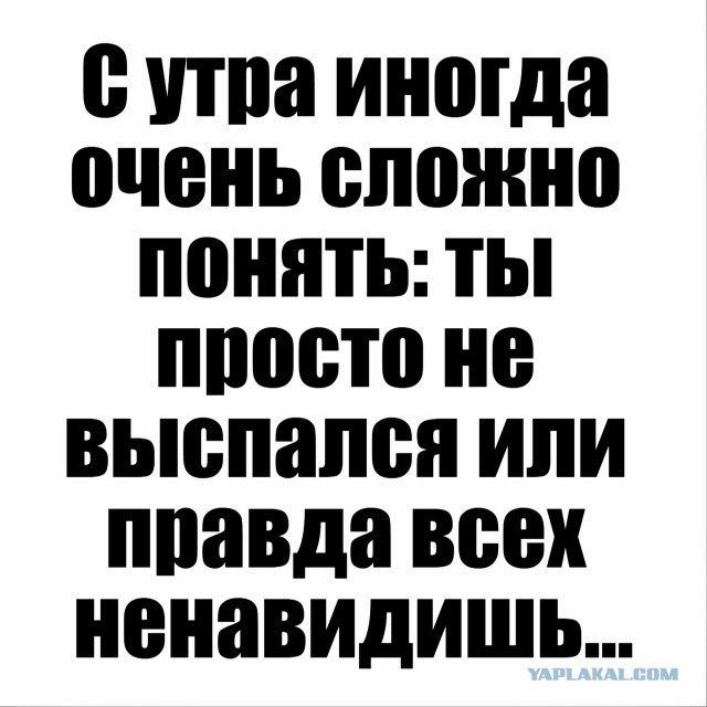 Думаю, что её дочь просто завидует!