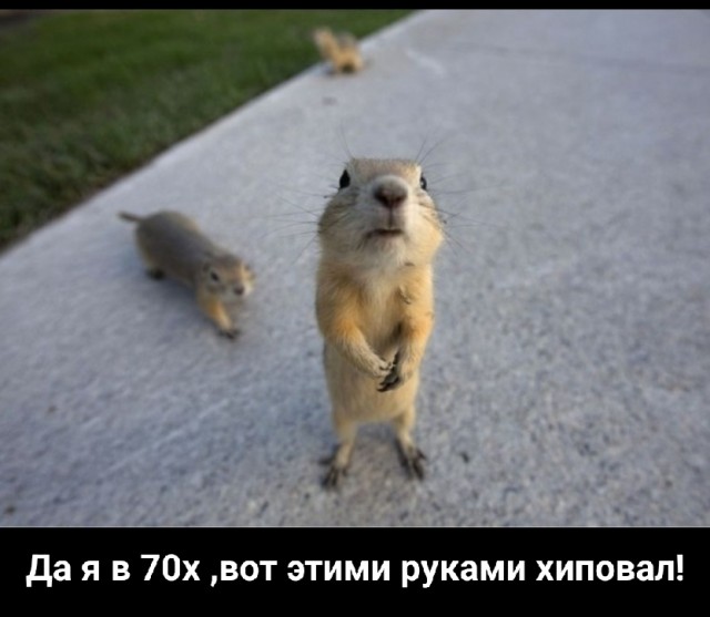 Gulagu.net, который на днях заявил, что выложит преступления Пригожина, после которых поставят крест на его карьере