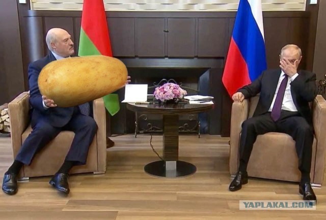 В Санкт-Петербурге началась встреча президентов Владимира Путина и Александра Лукашенко