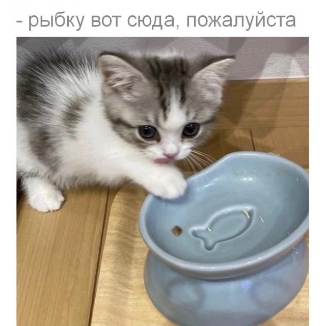 Так себе картинки 02.09.23
