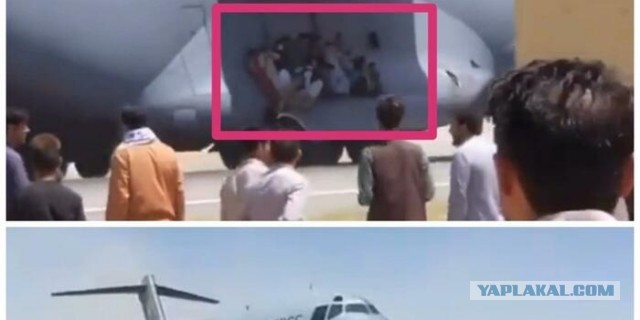 Делегация запрещённого "Талибана" потеряла паспорта в столичном "Перекрёстке"