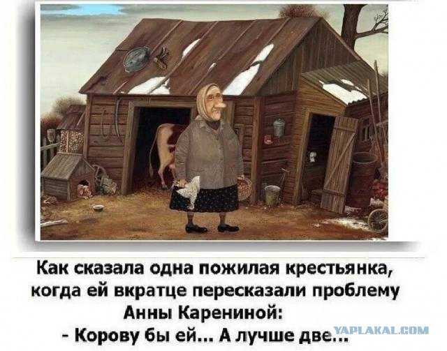 Хозяйство у жениха маленькое, жену не найдет!