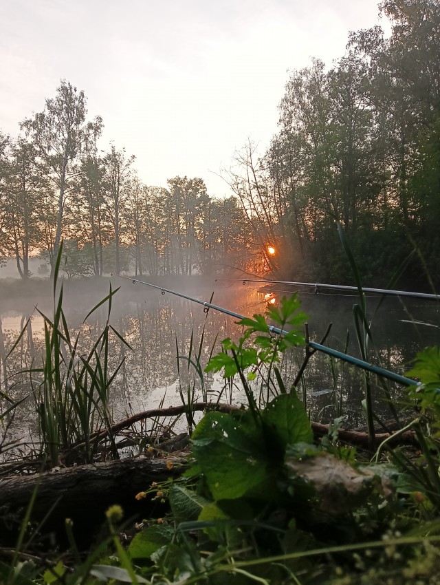 Фото с летней рыбалки