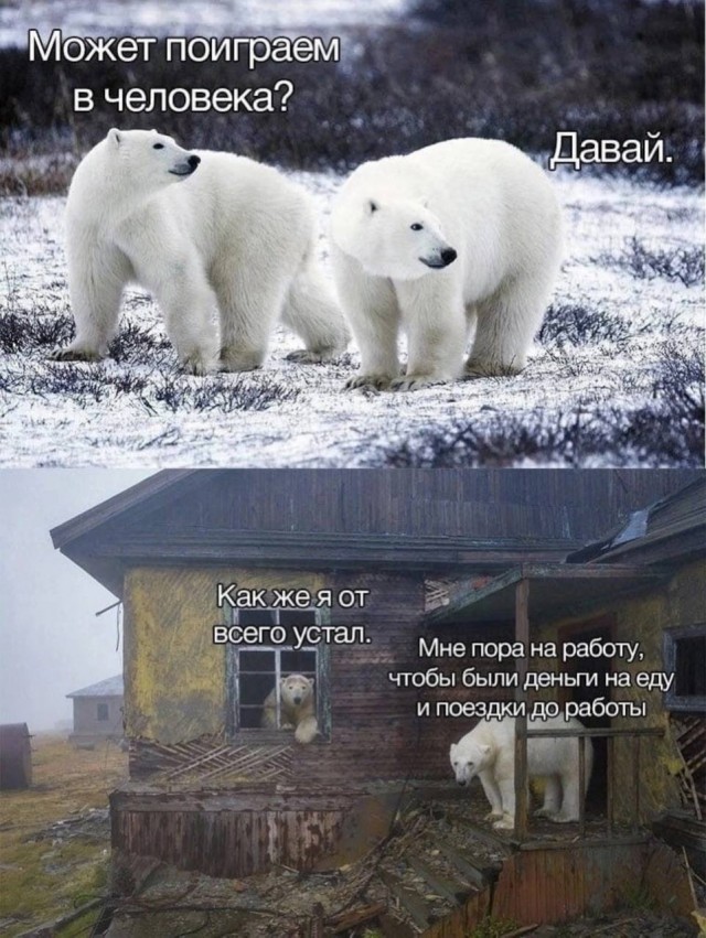 Мемчики и картинки для настроения и подумать