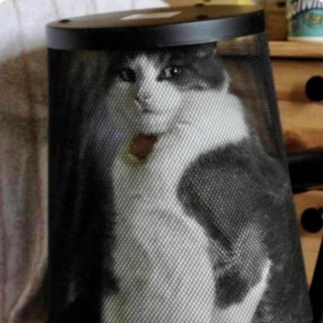 ФотоВинегрет из 55 пикч