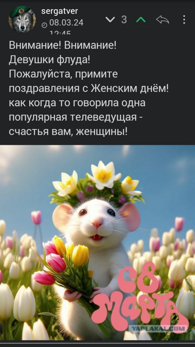 Может ли женщина терпеть плохой секс или его отсутствие без измены?