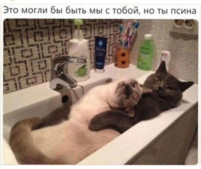 Всего понемногу. От 17.04.24.