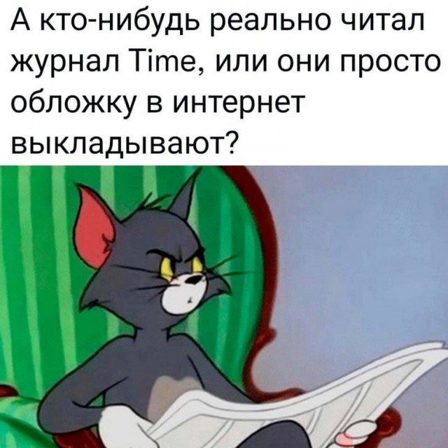 Весёлый полтишок 04.06.24