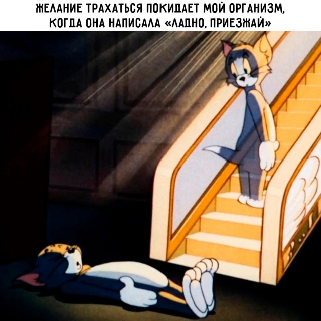 Весёлый полтишок 05.08.24