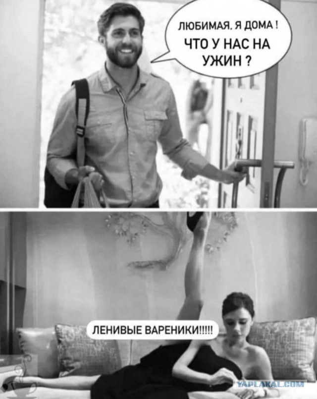 Веселые картинки к пятнице (23.08)