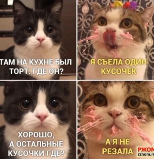 Деревенская Америка - 10