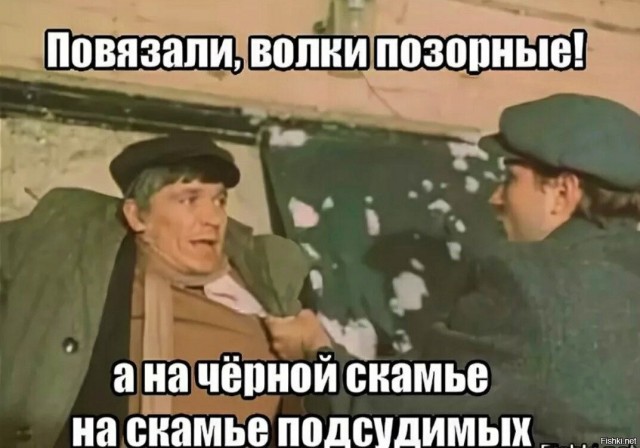 Вот тебе и котовторник