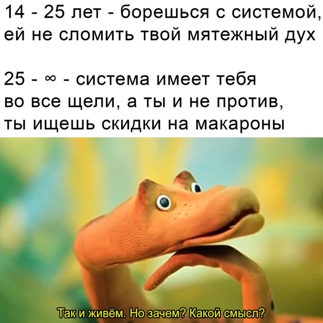Весёлый полтишок 19.12.24