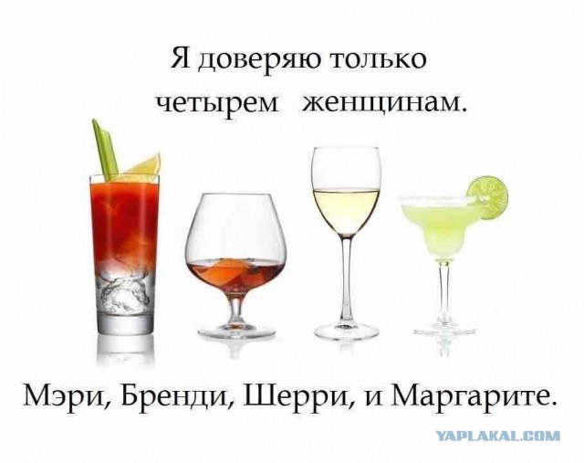 Веселые картинки в пятницу (07.02)