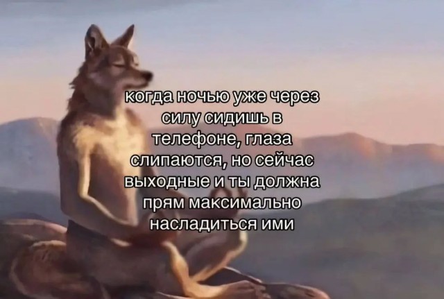Смешные картинки с надписями и чужой кот