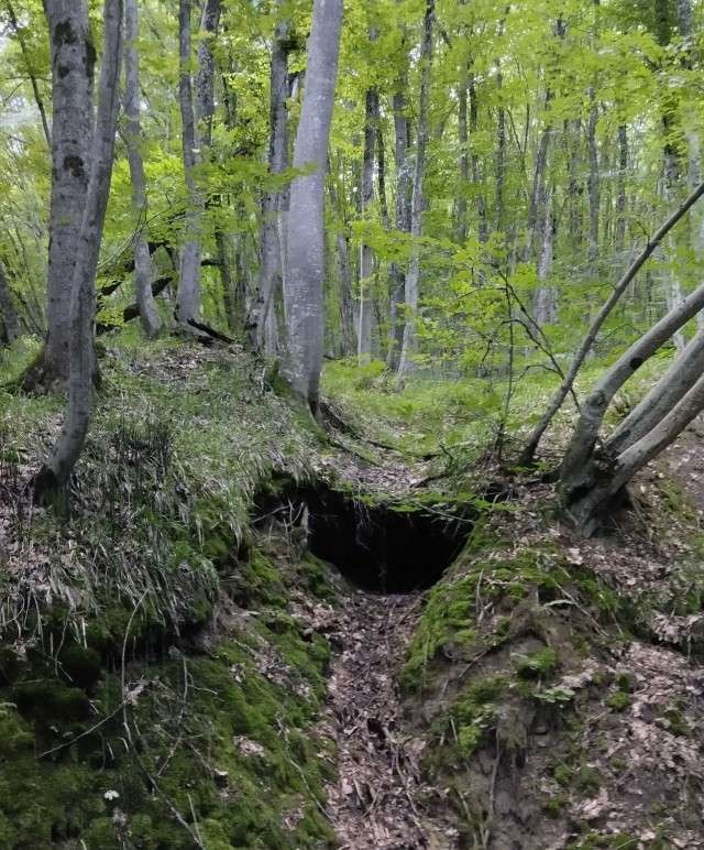 Итоги ККК № 31 "Маски/Звери" и всё такое