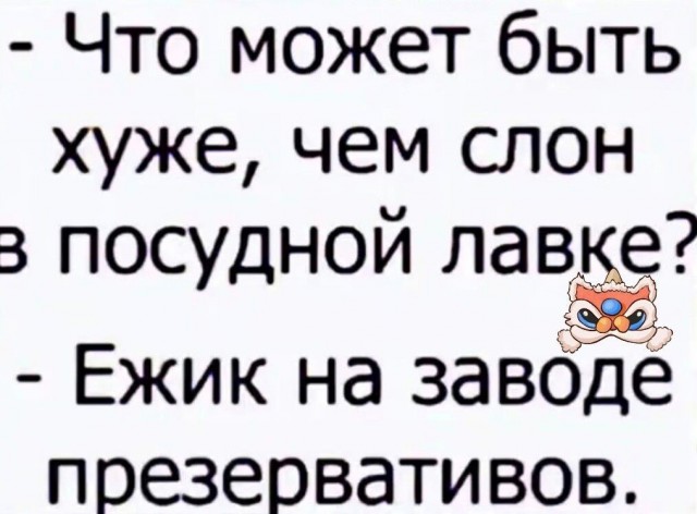 20168324.jpg