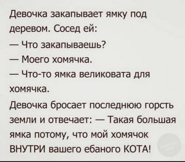 Так себе картинки 10.07.25