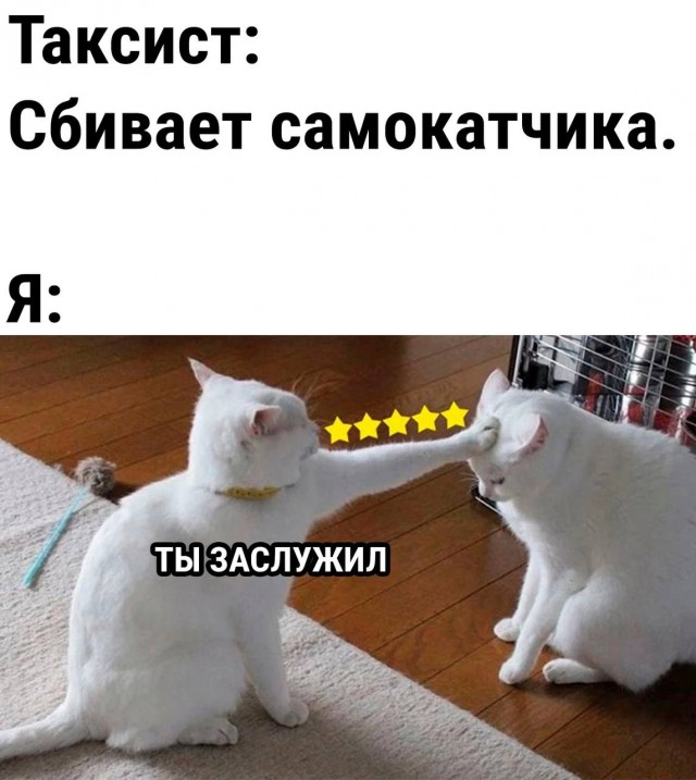 Веселые картинки в понедельник (25.08)