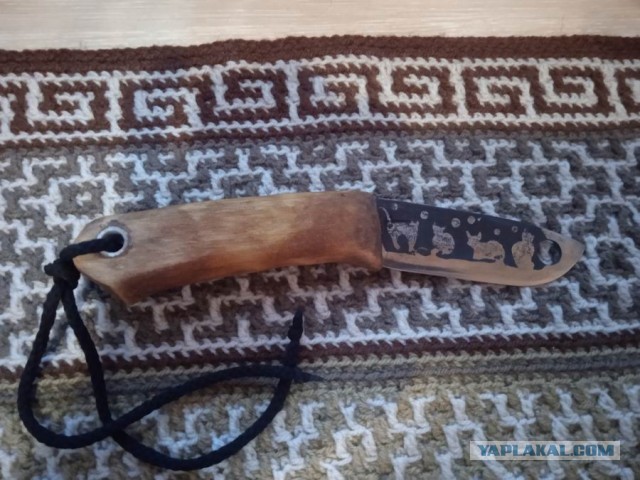 Кошачий нож