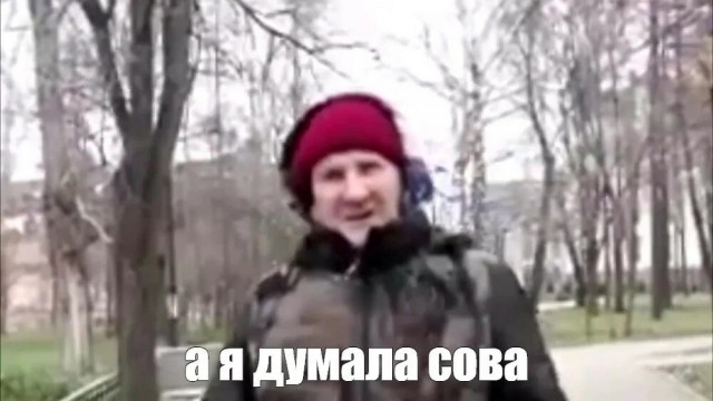 Сова сбила дрон в зоне СВО