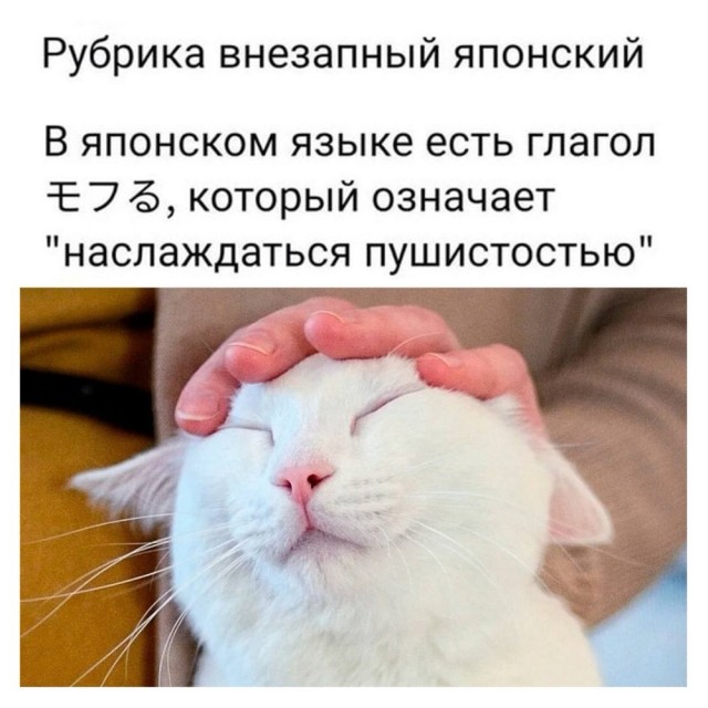 Прикольные и просто красивые картинки 25.11.2025