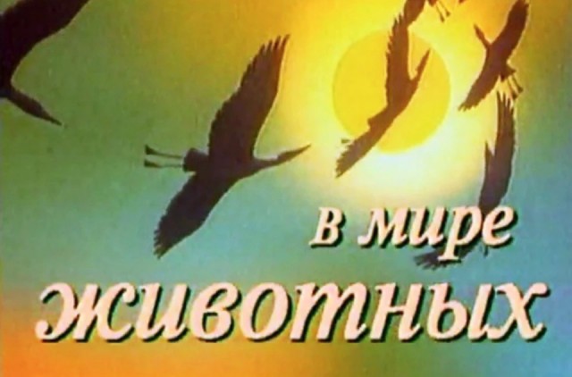 Николай Дроздов вышел в ремиссию с онкологией. Последние анализы хорошие, учёный отказался от лекарств, ему предстоит полный ЗОЖ