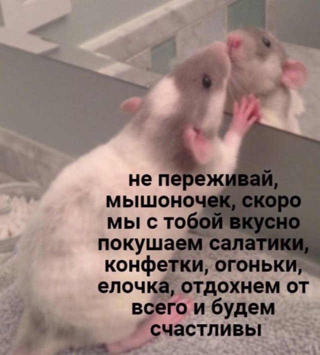 Дегрономикон  депрессивный 3