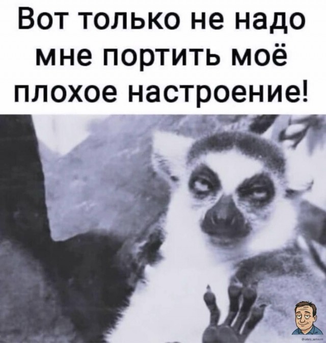 Среды картинки
