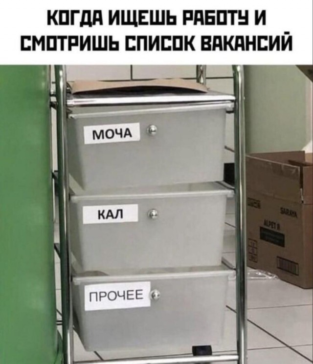 Картинки для деградации 113 (разной степени свежести)