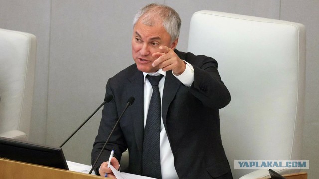 Спикер Госдумы Вячеслав Володин попросил депутатов обсуждать острые инициативы в закрытом режиме
