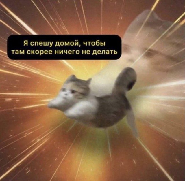 Картиночки, баянчики 27 февраля